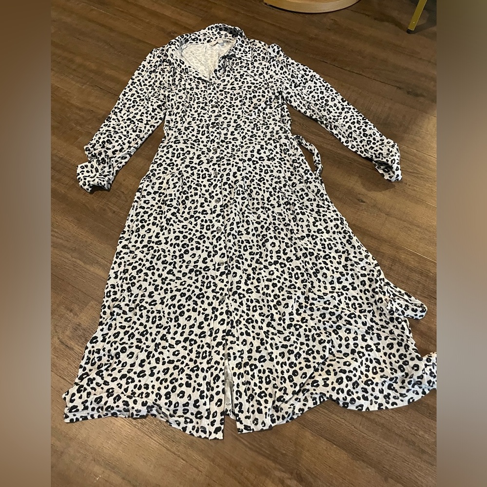 Loft Cheetah Dress
